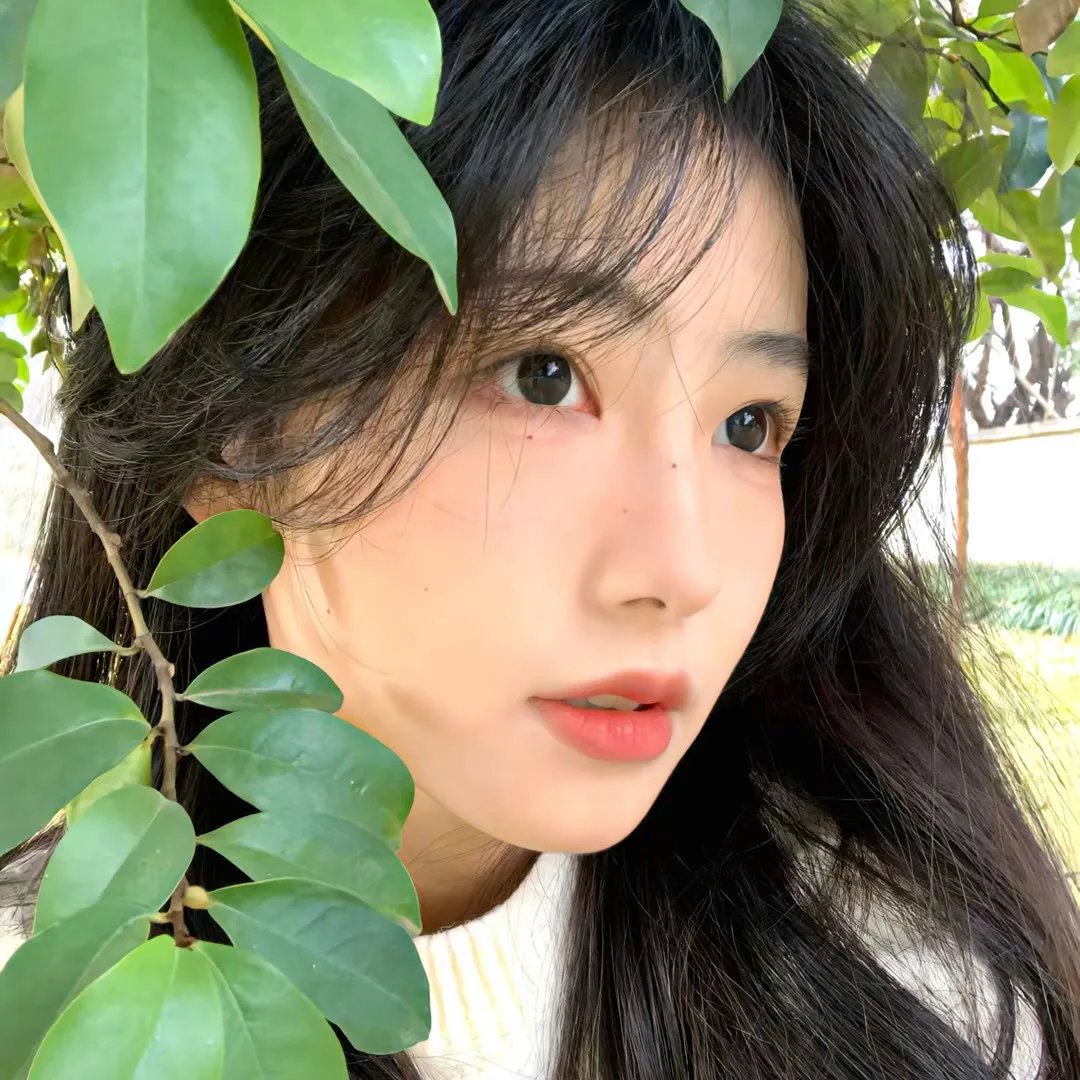 女性视频